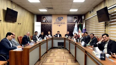 رئیس سازمان فناوری اطلاعات: از اعتقاد به همکاری با بخش خصوصی دست نخواهم کشید