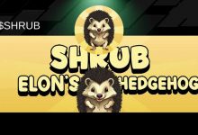 رالی ۳۰۰۰ درصدی میم‌کوین جدید سولانا تنها در ۵ روز؛ هدف قیمتی SHRUB کجاست؟