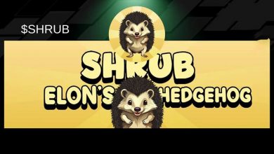 رالی ۳۰۰۰ درصدی میم‌کوین جدید سولانا تنها در ۵ روز؛ هدف قیمتی SHRUB کجاست؟