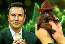 رشد انفجاری پینات در بحبوحه انتخابات آمریکا! دلیل حمایت ماسک از این توکن چیست؟