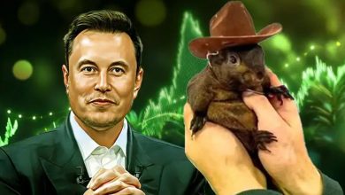 رشد انفجاری پینات در بحبوحه انتخابات آمریکا! دلیل حمایت ماسک از این توکن چیست؟