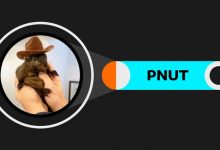 رشد حیرت‌انگیز ۱۵۶۰ درصدی پینات در یک هفته! چه چیزی این میم‌کوین را خاص کرده؟