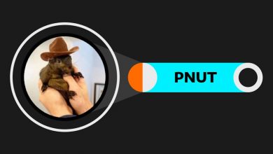 رشد حیرتانگیز ۱۵۶۰ درصدی پینات در یک هفته! چه چیزی این میمکوین را خاص کرده؟