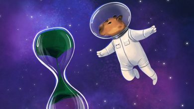 رشد چشمگیر میمکوین BARA در ۲۴ ساعت گذشته؛ روند صعودی ادامه دارد؟