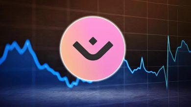 رشد چشمگیر ۱۵۵ درصدی مانترا در یک هفته! صعود به اوجهای جدید ممکن است؟