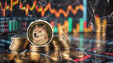 رشد ۱۸۰ درصدی دوجکوین در یک ماه! صعود ادامه دارد یا زمان اصلاح فرا رسیده؟