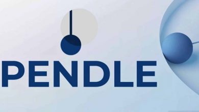 رشد ۳۵۵ درصدی پندل در سال ۲۰۲۴؛ برای صعود به سقف قیمتی جدید آماده باشید!