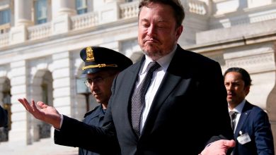 رویترز بهنقل از تحلیلگران: ایلان ماسک و ایکس کانون غلطپراکنی درباره انتخابات آمریکا هستند