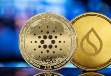 رکوردشکنی سویی و رشد قابلتوجه کاردانو؛ زمان مناسب برای سرمایهگذاری؟