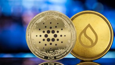 رکوردشکنی سویی و رشد قابل‌توجه کاردانو؛ زمان مناسب برای سرمایه‌گذاری؟