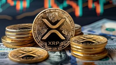 ریپل در انتظار نتیجه انتخابات آمریکا! قیمت XRP به اوج تاریخی خود بازمیگردد؟