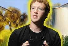 زنبورها مانع از ساخت مرکز داده هوش مصنوعی متا با انرژی هسته‌ای شدند