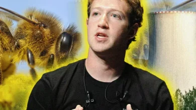 زنبورها مانع از ساخت مرکز داده هوش مصنوعی متا با انرژی هسته‌ای شدند