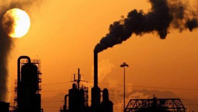 سال ۲۰۲۴ گرم‌ترین سال ثبت‌شده در تاریخ بود