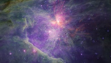 ستاره‌شناسان می‌گویند ستاره‌هایی را به کوچکی سیاره مشتری شناسایی کرده‌اند