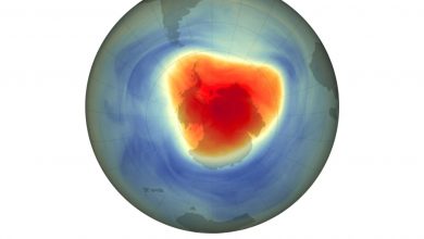 سوراخ ازون بالای جنوبگان به کوچک‌ترین اندازه در پنج سال اخیر رسیده است
