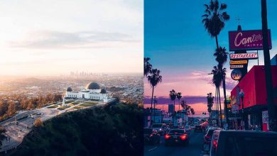 «شهر فرشتگان» به روایت تصویر