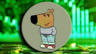 صعود طوفانی چیل گای در بحبوحه رکود بازار! علت افزایش محبوبیت این میمکوین چیست؟