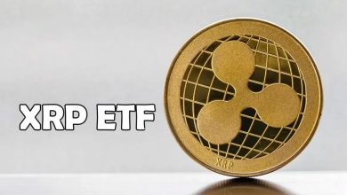 صندوق ETF ریپل در انتظار تأیید بورس آمریکا؛ ویزدامتری هم وارد رقابت شد!