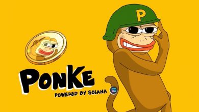 قراردادهای آتی پونک در بایننس لیست شد! این میمکوین به دوران اوج بازمیگردد؟