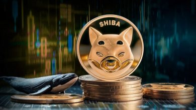 قیمت شیبا به اوج خود میرسد؟ نهنگها چه نقشههایی برای این میمکوین دارند؟