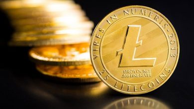 لایتکوین به میمکوین تبدیل میشود؟ جهش قیمت LTC بعد از شایعات جنجالی!