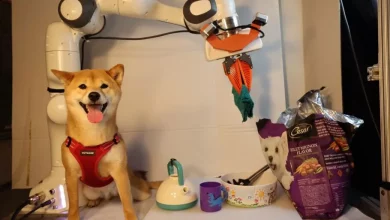 محققان MIT روش سریع و بهتری برای آموزش رباتهای همهکاره ابداع کردند