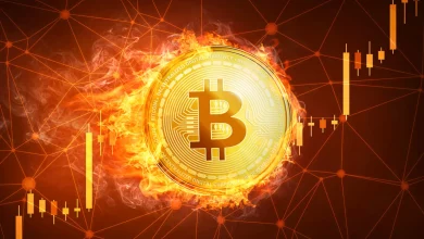 مسیر پر پیچ و خم بیتکوین به سمت ۱۰۰ هزار دلاری شدن