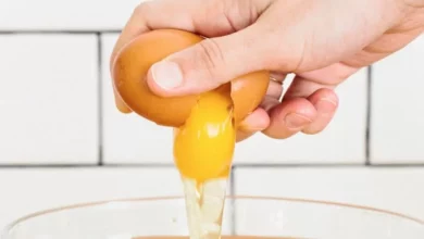 مصرف تخممرغ شاید سلامت مغز را حفظ کند و کلسترول را کاهش دهد