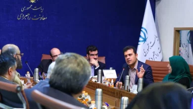 معاون علمی رئیسجمهور: راهاندازی پارکهای انیمیشن به بخش خصوصی واگذار میشود