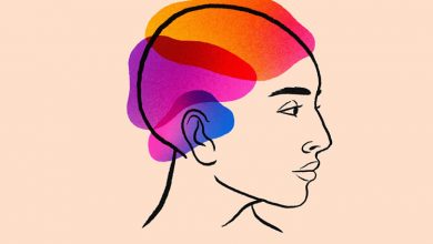 مغز چگونه خاطرات را تجدید میکند؟