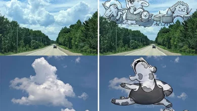 موجودات مرموزی که در ابرها زندگی می‌کنند