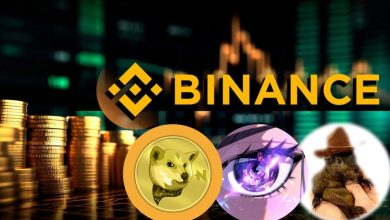 میمکوینهای منتخب بایننس؛ کدام توکنها ستارههای بعدی بازار خواهند بود؟