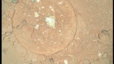 ناسا لکه‌های سبز مرموزی روی مریخ کشف کرده است