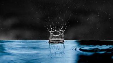 نقش باران در آغاز حیات روی زمین