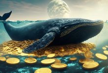 نهنگها برای ماه نوامبر کدام رمزارزها را نشانه گرفتهاند؟