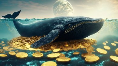 نهنگها برای ماه نوامبر کدام رمزارزها را نشانه گرفتهاند؟