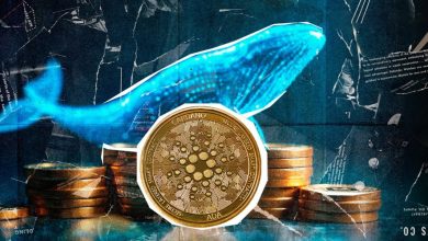 نهنگها در حال انباشت کاردانو! قیمت ADA در رالی سال ۲۰۲۵ تا کجا اوج میگیرد؟