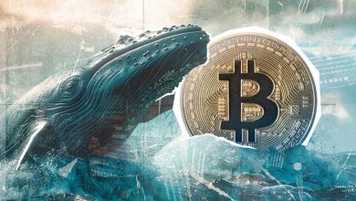 نهنگها دوباره به میدان میآیند؛ آغاز موج جدید خرید در پی افت قیمت بیتکوین!