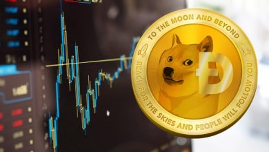نهنگها کنترل بازار دوجکوین را به دست گرفتند! تحلیل و پیشبینی قیمت DOGE