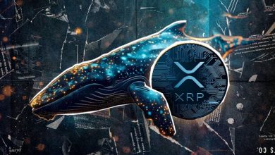 نهنگها ۵۲۶ میلیون دلار ریپل خریدند! پیشبینیهای جدید از اهداف قیمت XRP
