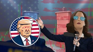 نوسانات بیسابقه میمکوینها؛ انتخابات آمریکا کدام توکنها را به اوج میبرد؟