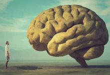 نکات کلیدی برای پیشگیری از سکته مغزی