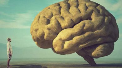 نکات کلیدی برای پیشگیری از سکته مغزی