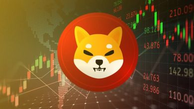 نگاهی به الگوهای حرکتی شیبا اینو؛ آیا SHIB در نوامبر شگفتیساز خواهد شد؟