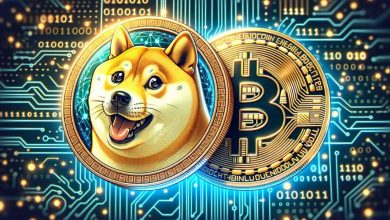 همبستگی بالای دوجکوین و بیتکوین؛ منتظر رکوردشکنی DOGE باشیم؟