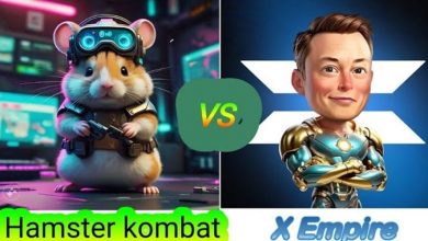 همستر کامبت یا ایکس امپایر؛ کدام توکن گزینه بهتری برای سرمایهگذاری است؟