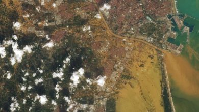 والنسیا در سیل‌ مرگبار اسپانیا زیر دریایی از گل ناپدید شد