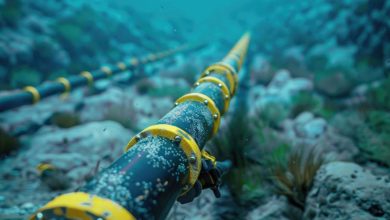 وزیر دفاع آلمان: کابلهای زیر دریایی بین فنلاند و آلمان بهعمد قطع شدهاند