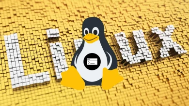 پشتیبانی از کارتهای ۱۲۸ ترابایتی SD به لینوکس اضافه شد